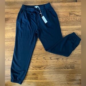 Outerknown Womens Navy Blue Joggers Sweatpants M NWT